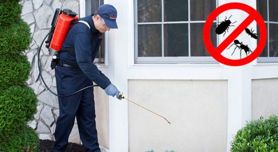 Zonguldak Sivrisinek İlaçlama böcek ilaçlama ve haşere kontrolü — ilaclama-tr.com